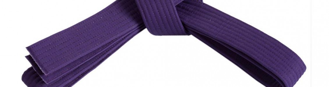 Martial Arts Rank Belt